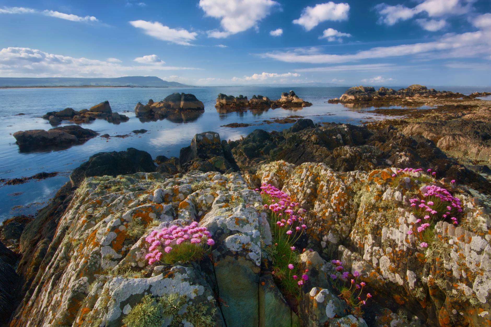 rock formations and ocean during day