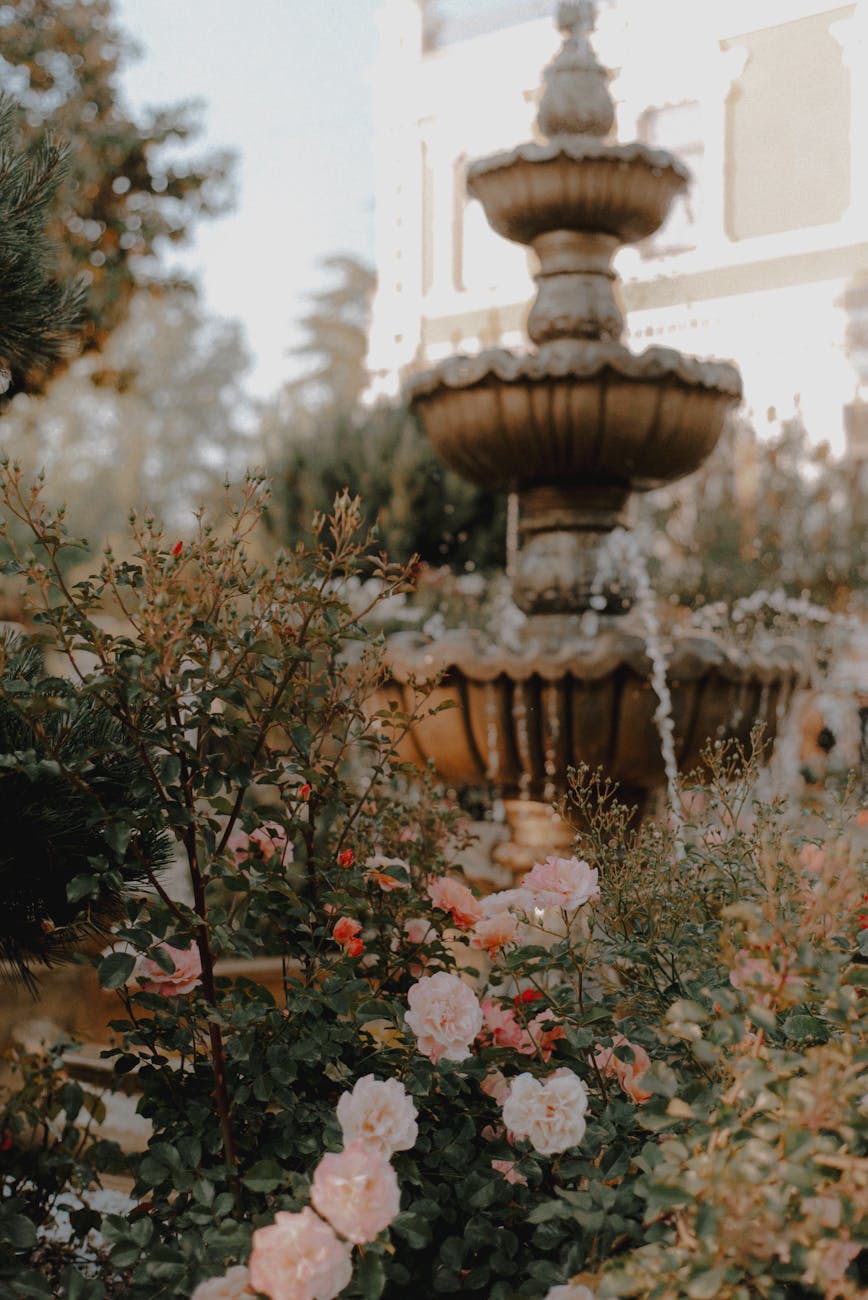 blooming flowers near a water fountain