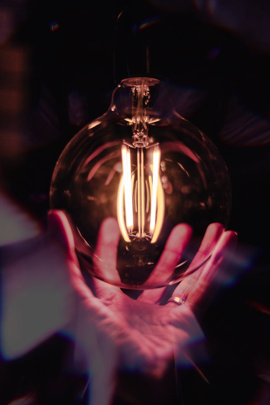 close up photo of person holding bulb