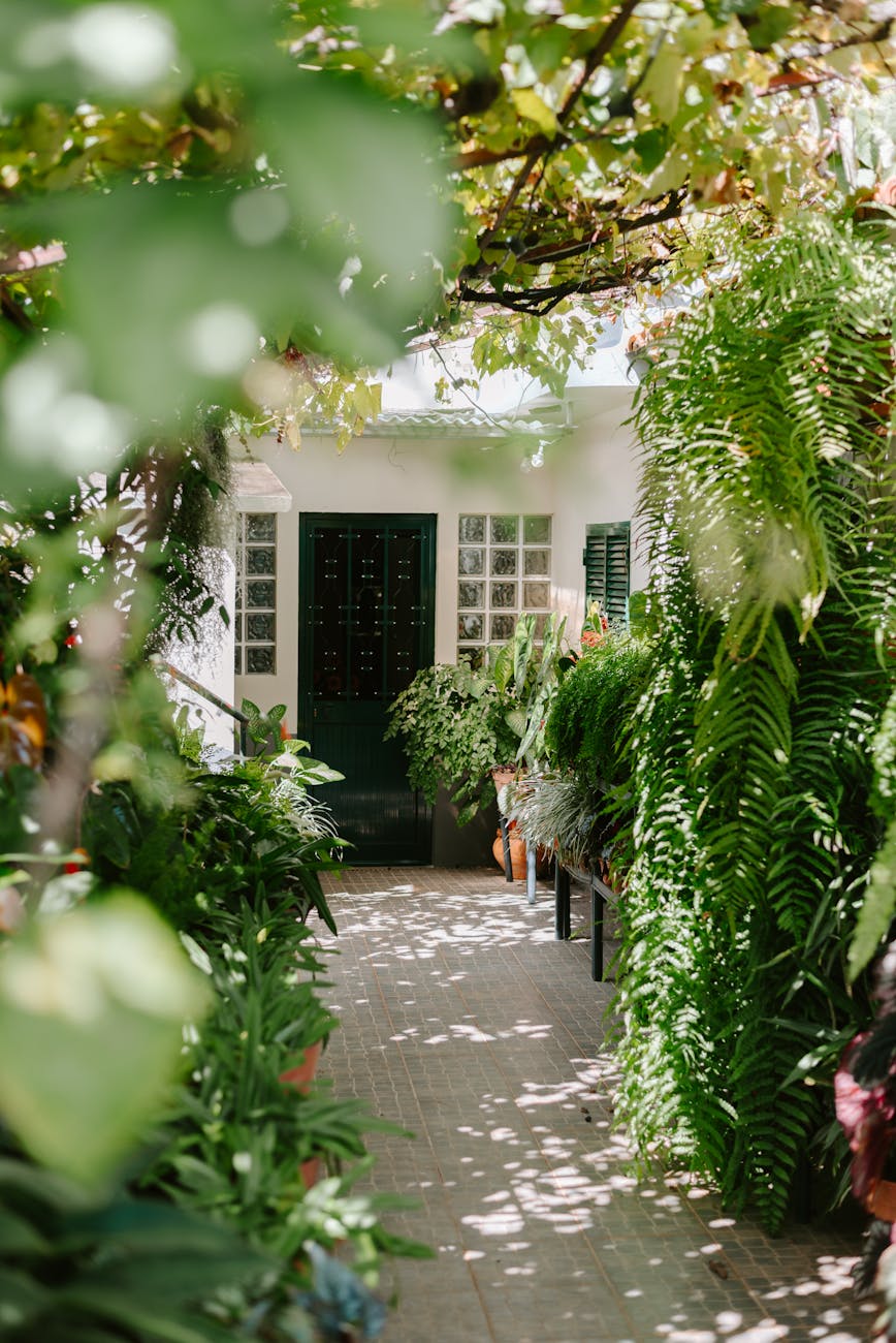 a walkway with plants and flowers in the background