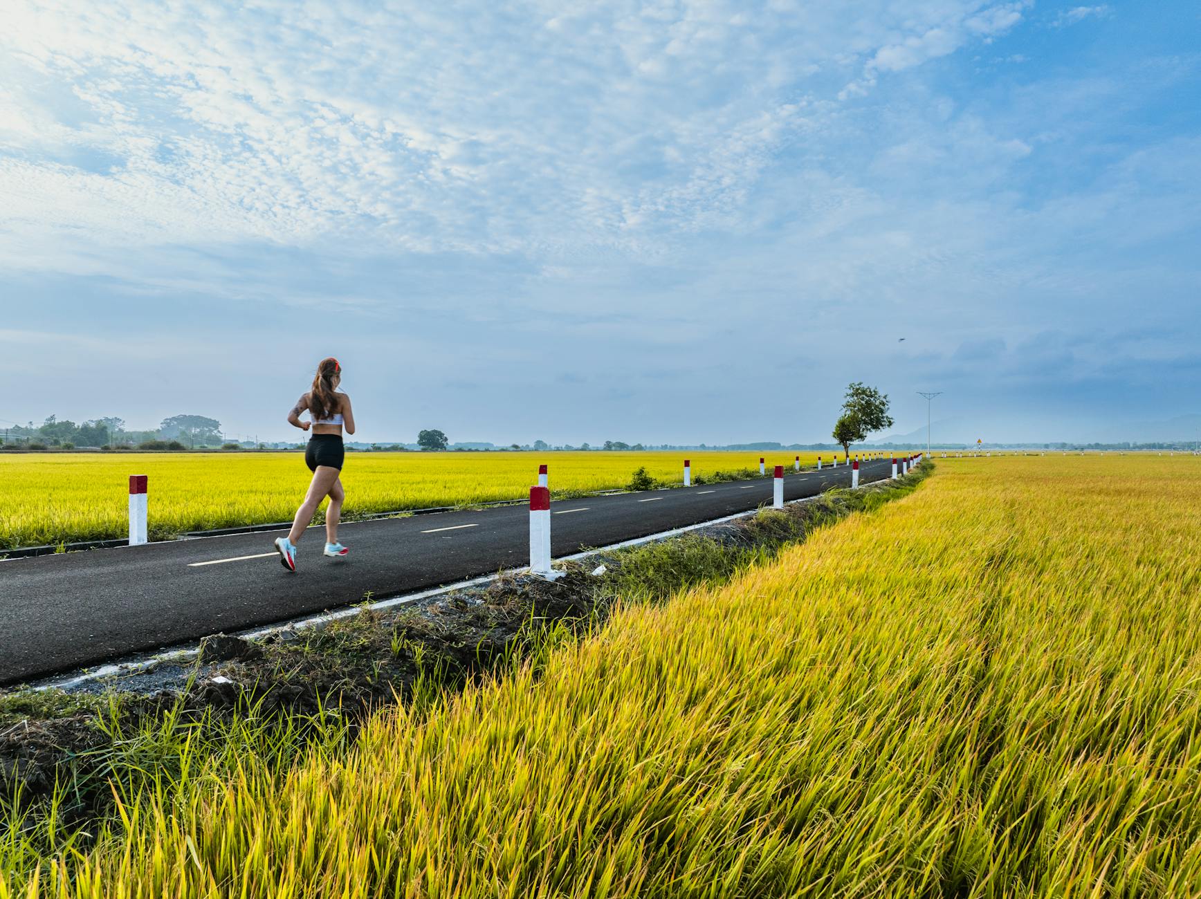 woman running on empty road between cropland fields