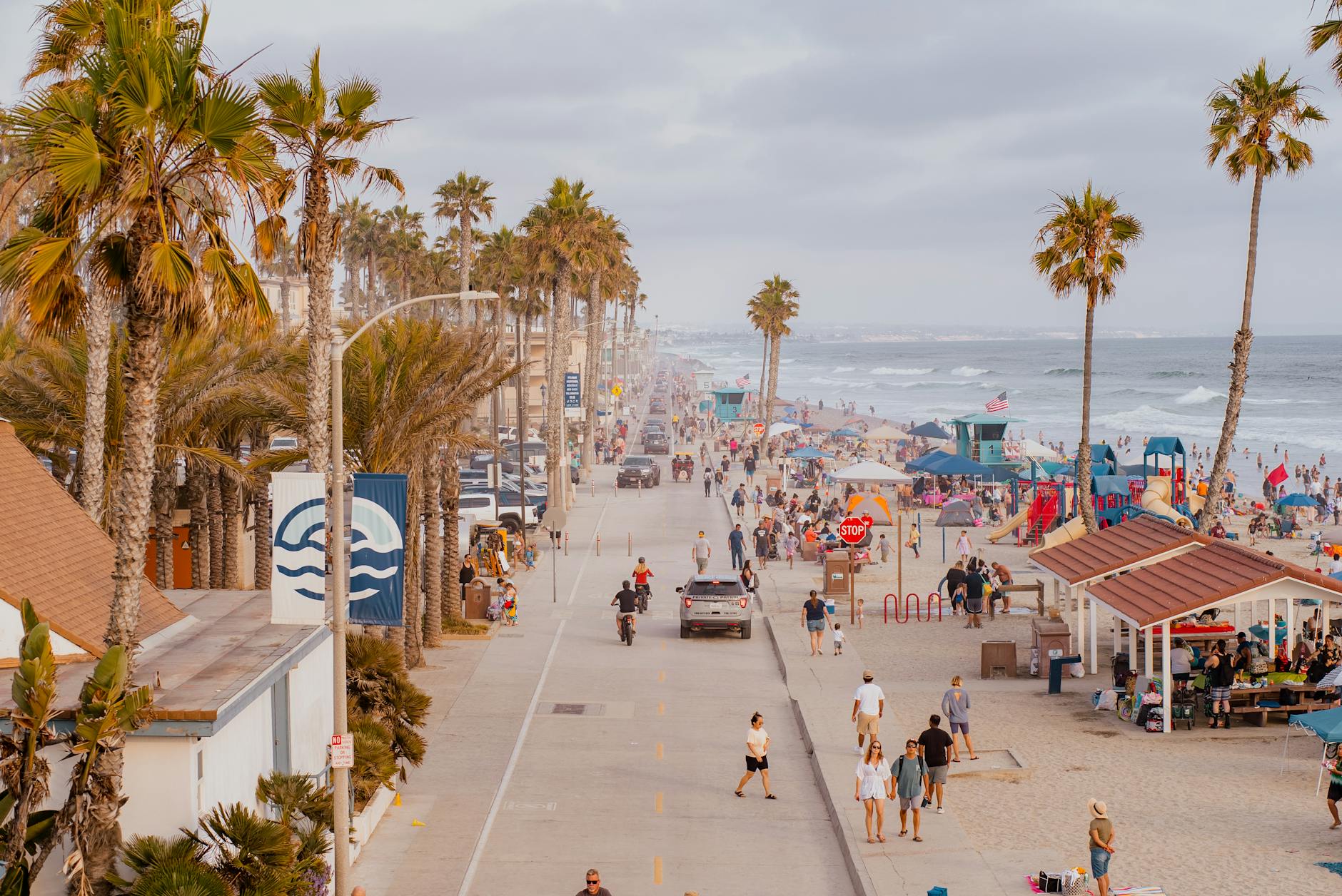 palm trees around street near beach in town
