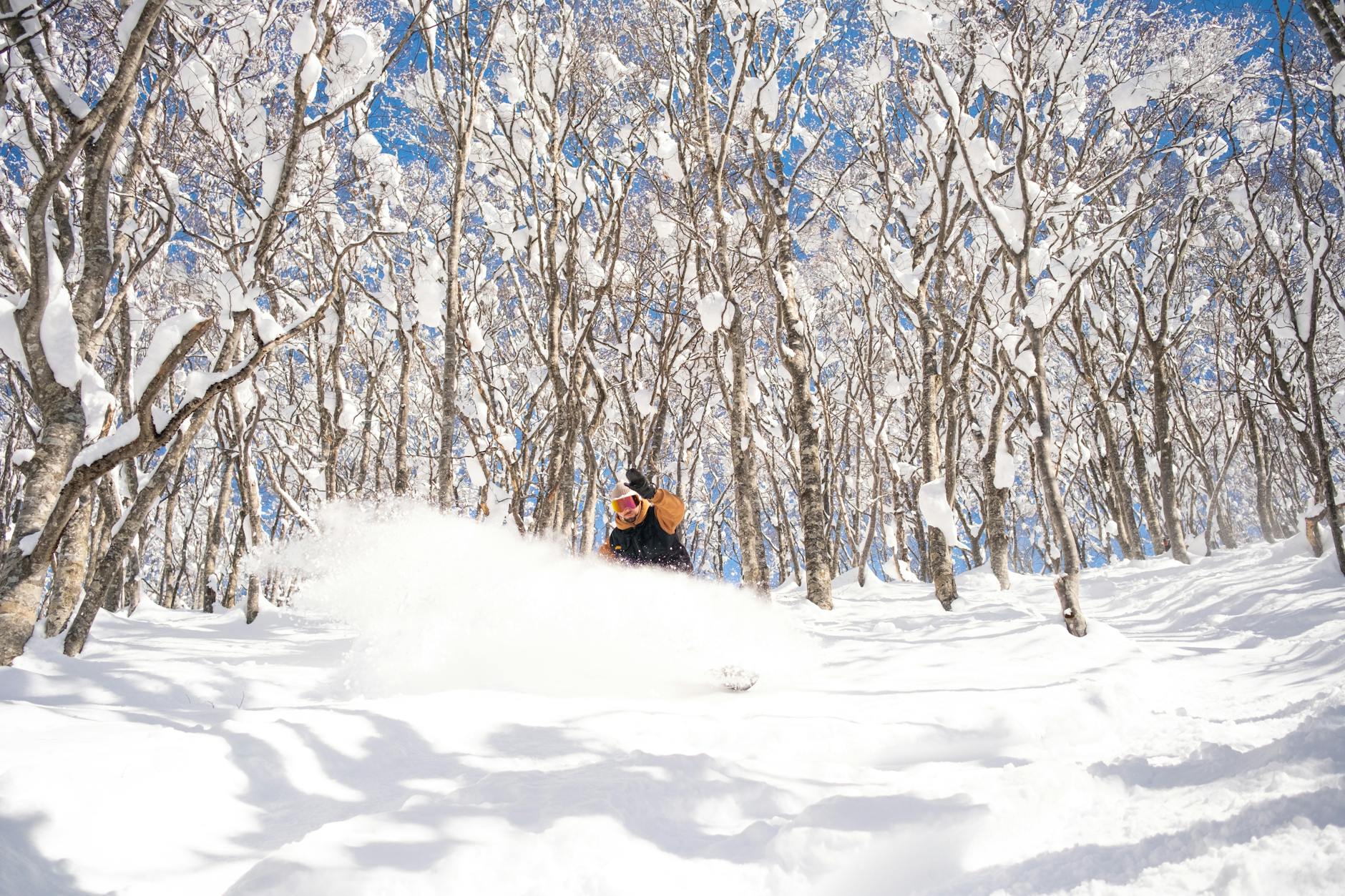 snowboarder carving through winter wonderland