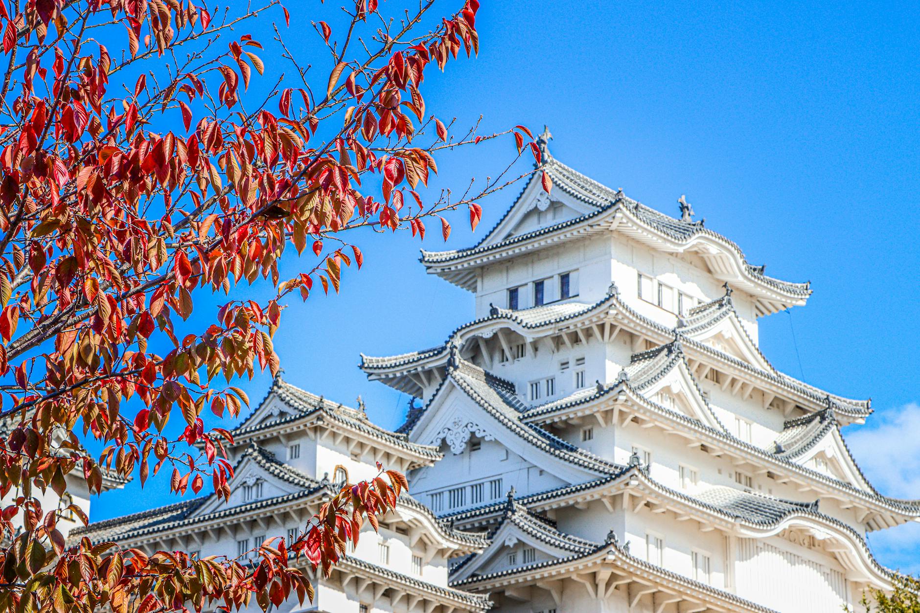 himeji castle in autumn with red foliage