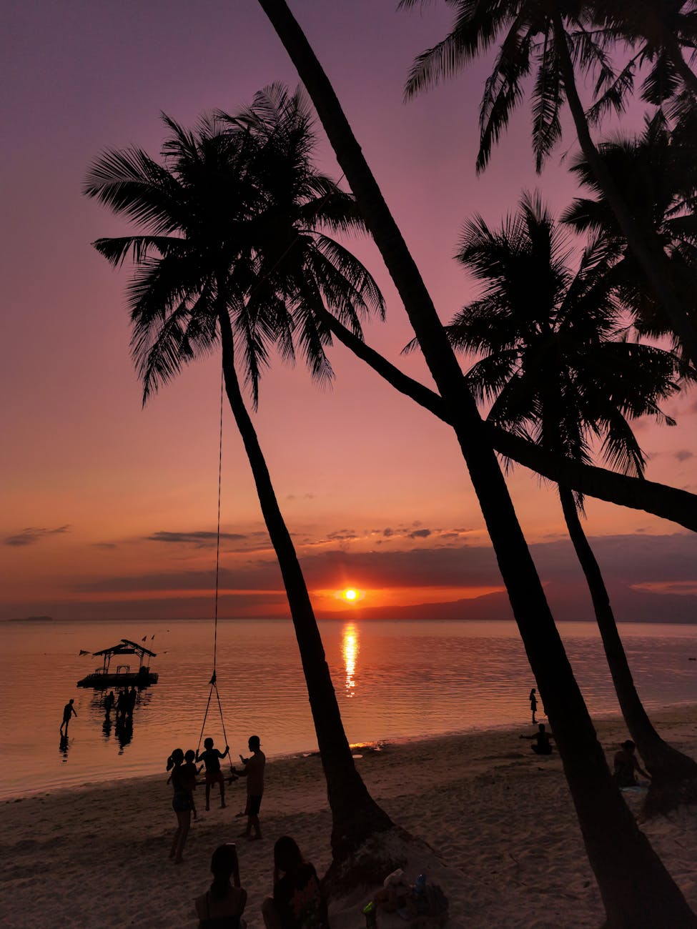 silhouetted palm trees and people on the beach at sunset