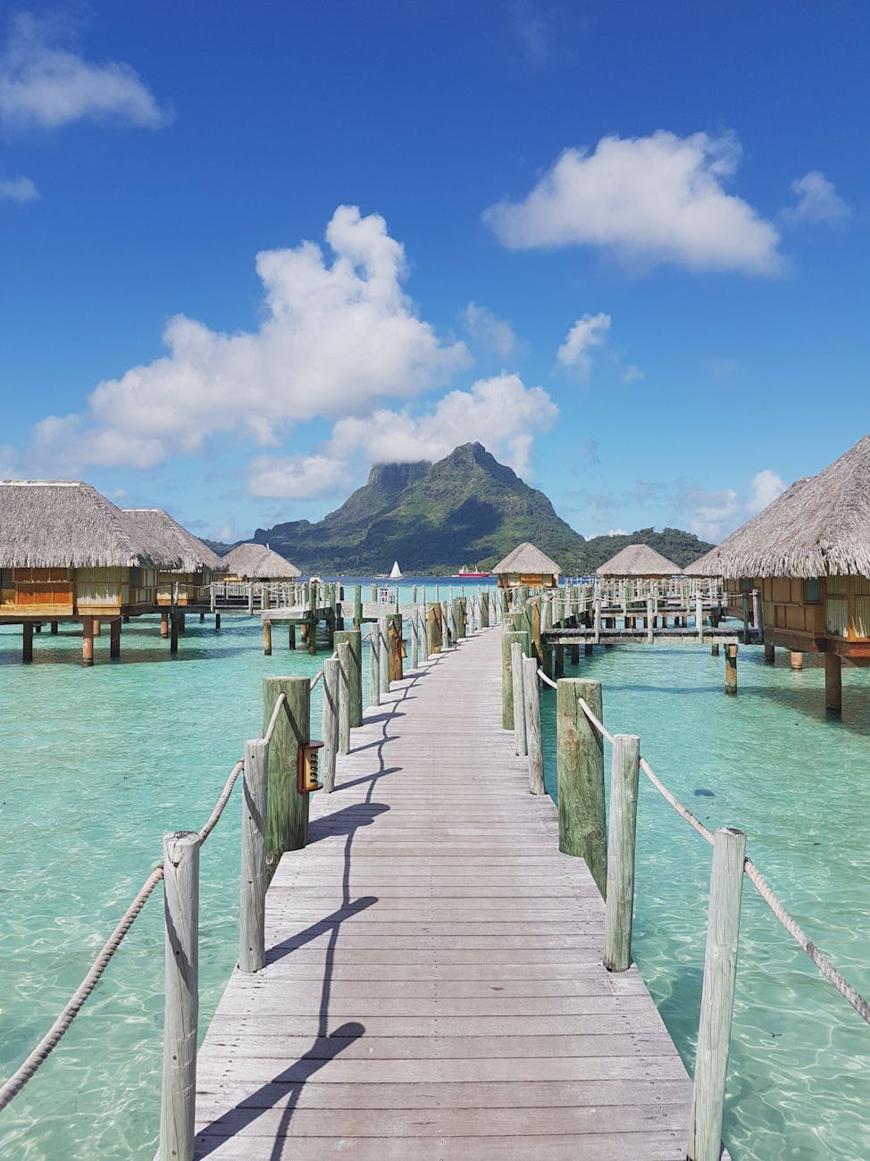 wooden bridge in a tropical resort