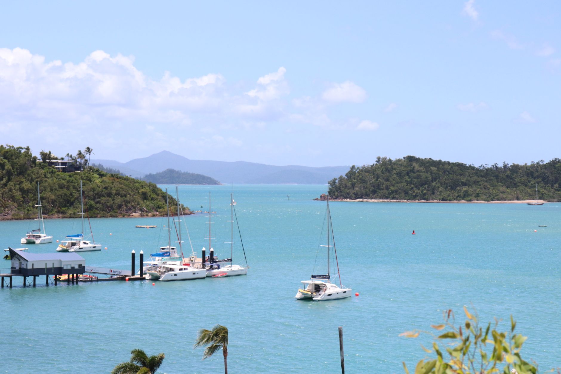 sailboats in bay