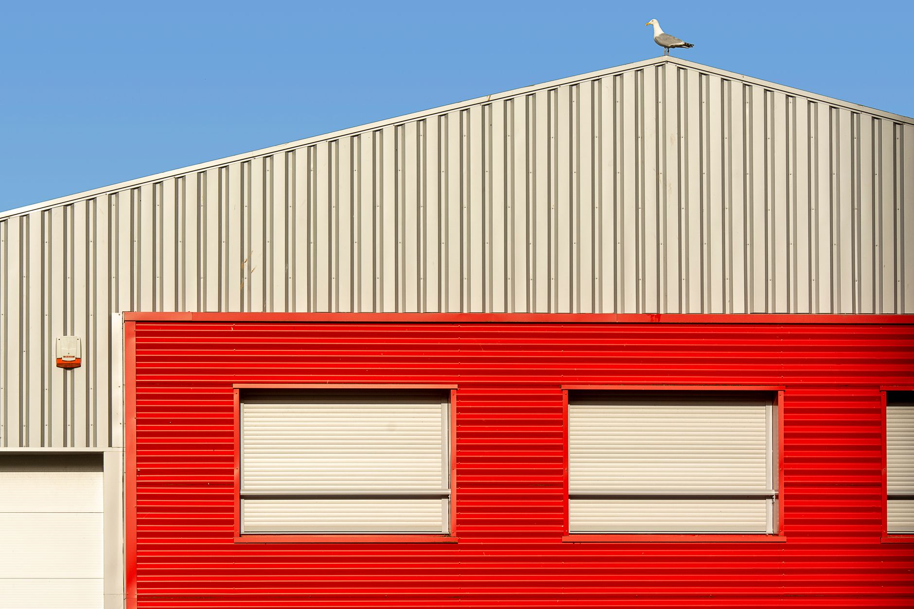 modern industrial building with seagull on roof