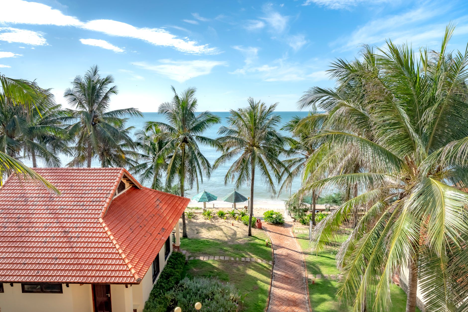 scenic tropical beachfront with palm trees