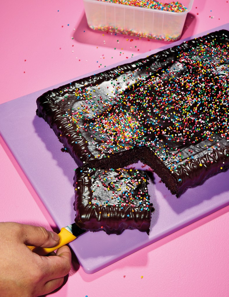 Chocolate Fudge Tray Cake with Sprinkles | Eat Live Escape