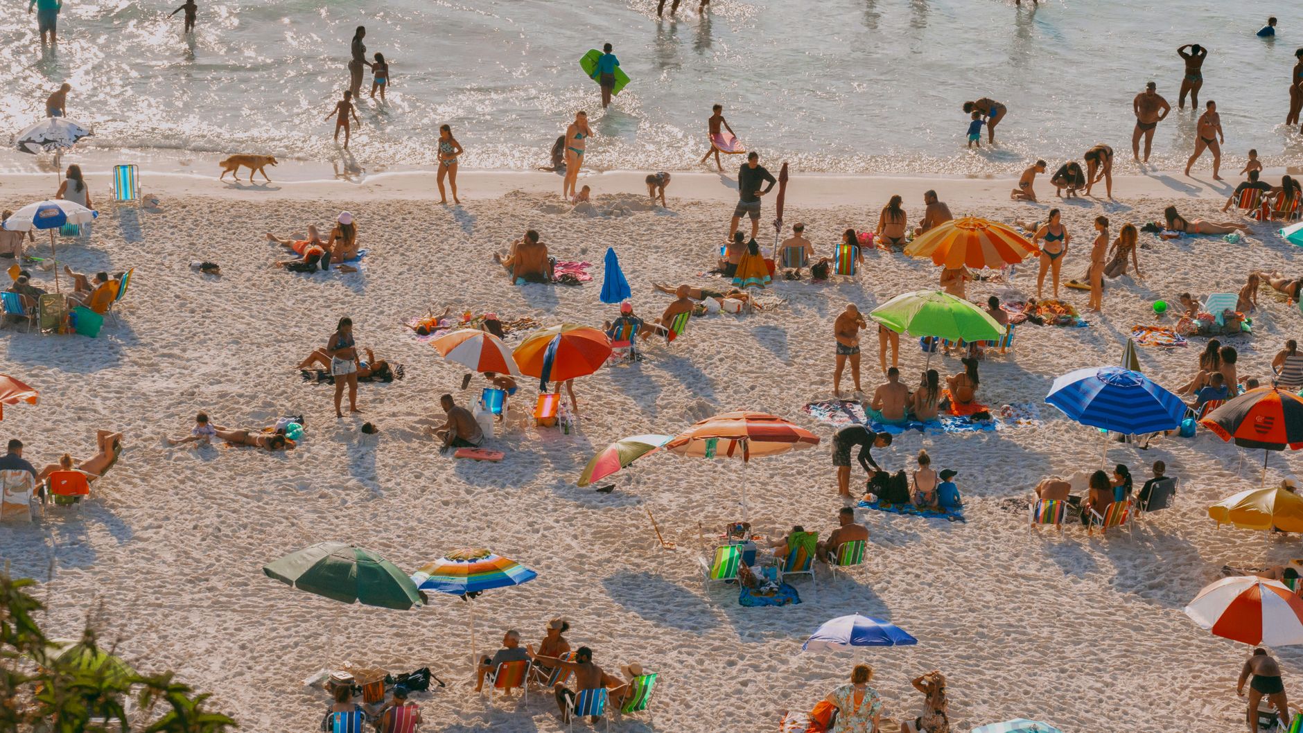 vibrant crowd enjoying sunny beach day